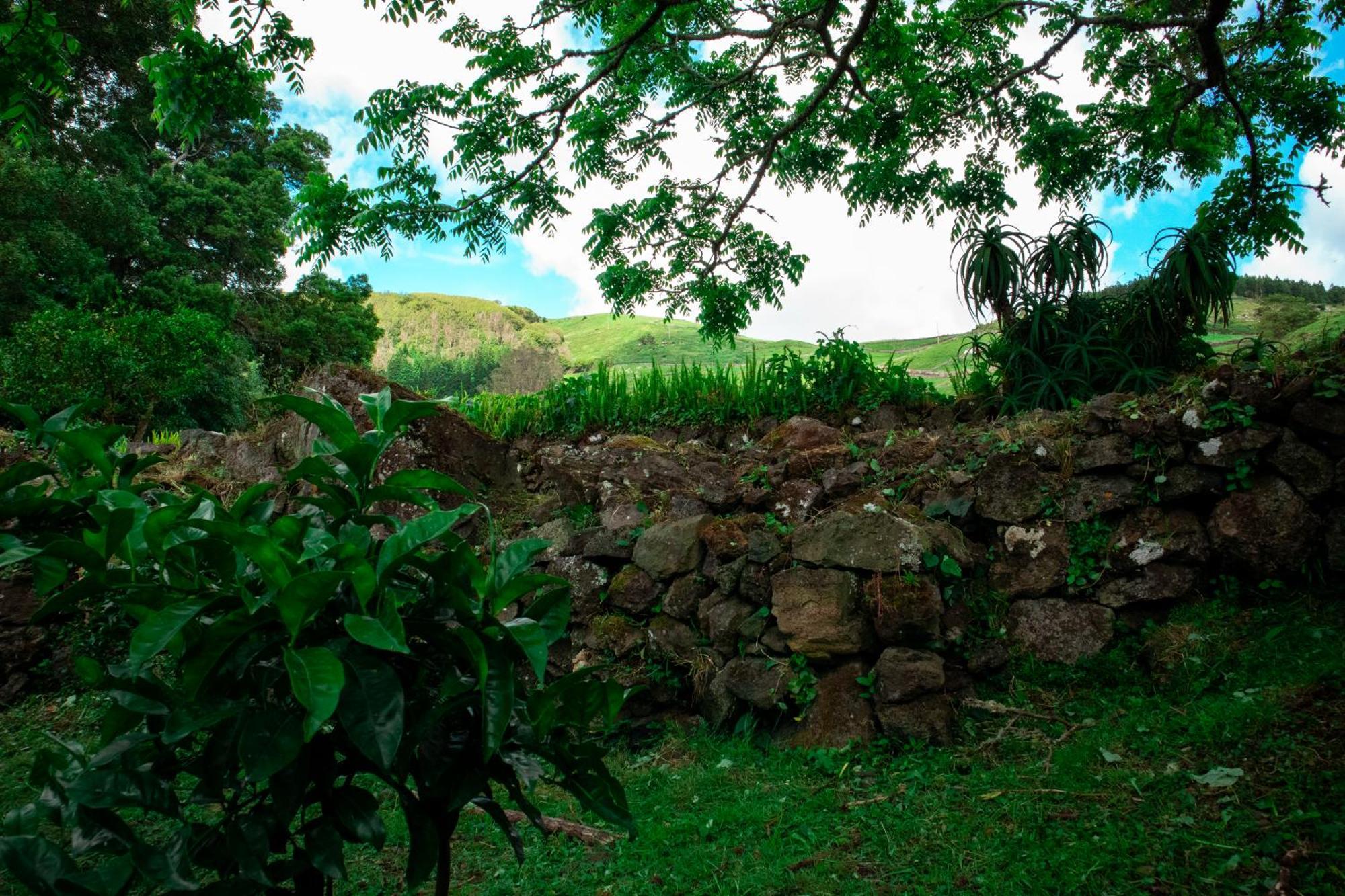 Casa De Campo Franco Da Serra アングラ・ド・エロイーズモ エクステリア 写真